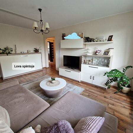 Apartmán Siaure Kaunas Exteriér fotografie